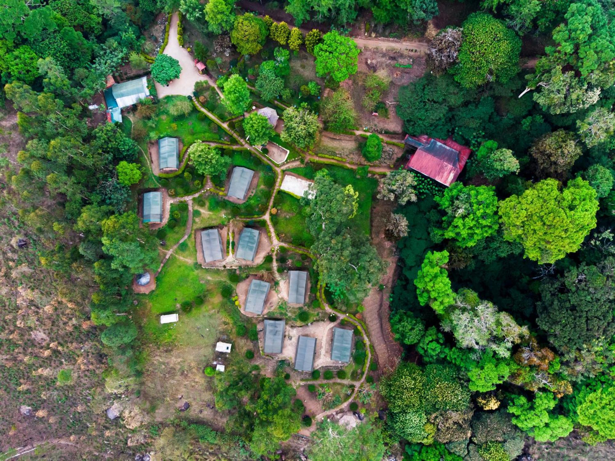 Nature Zone Jungle Resort Munnar Kültér fotó