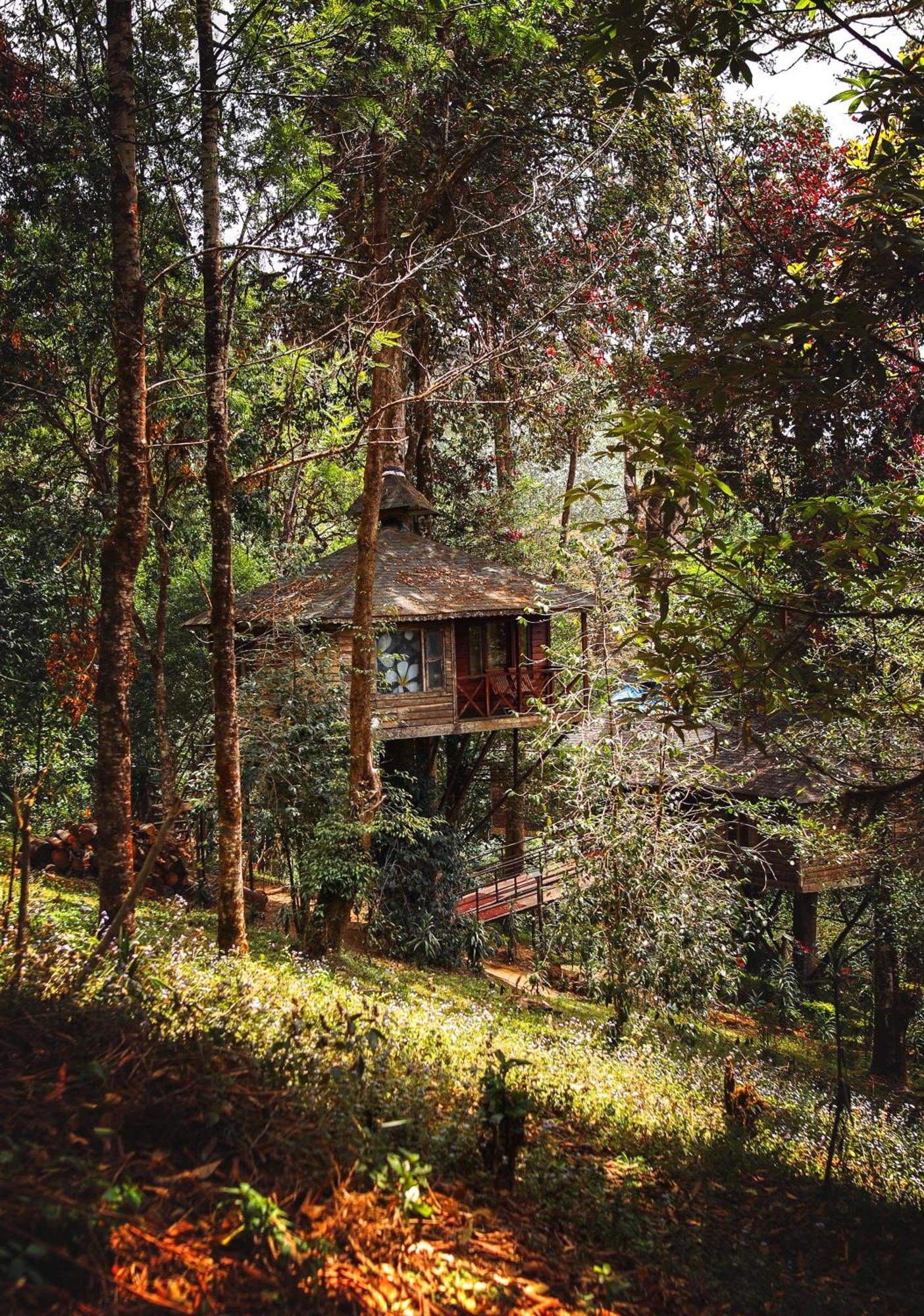 Nature Zone Jungle Resort Munnar Kültér fotó